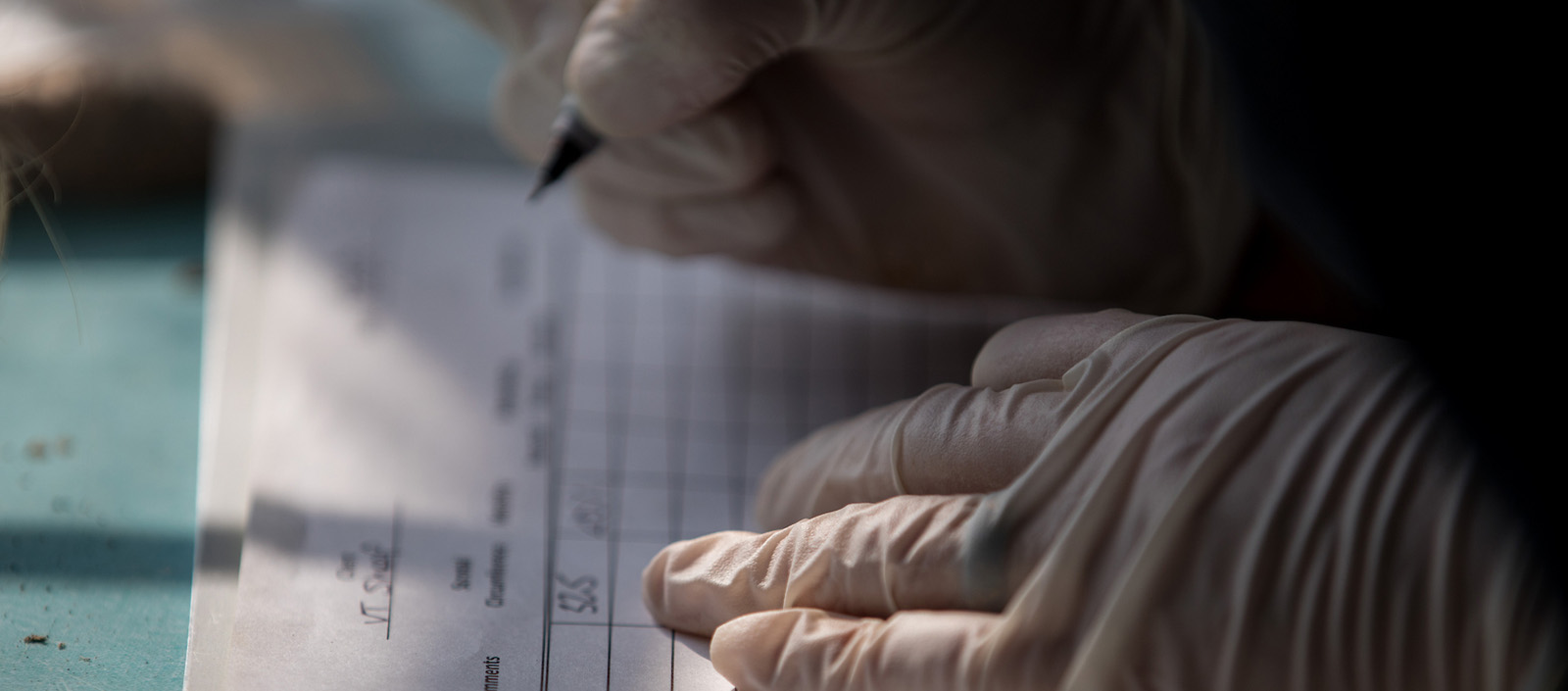 USDA record keeping